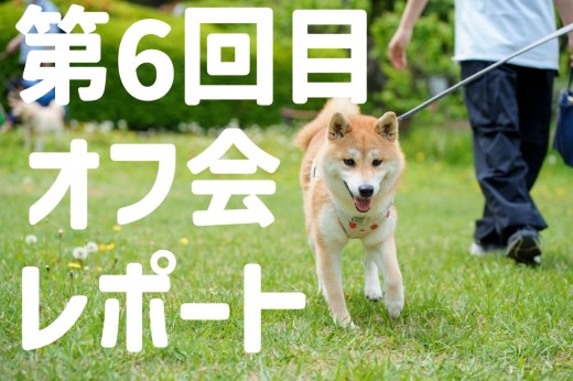 【オフ会レポ】総勢23頭大集合！新メンバー続々！！みんなで遊ぼう！