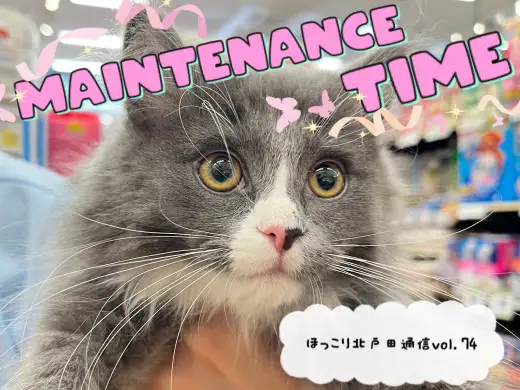 【 ほっこり北通Vol.74 】ノルくんの大好きな耳掃除！