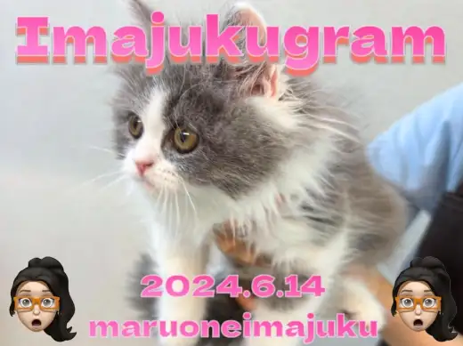 【 イマジュクグラム 】今宿店わんにゃんたちのワクチン接種＆健診に密着！