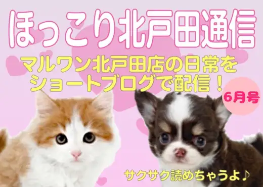 【 ほっこり北戸田通信集 6月号 】日々の日常をマルっとまとめました！