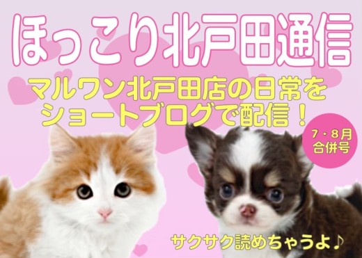 【 ほっこり北戸田通信集 7.8月号 】日々の日常をマルっとまとめました！