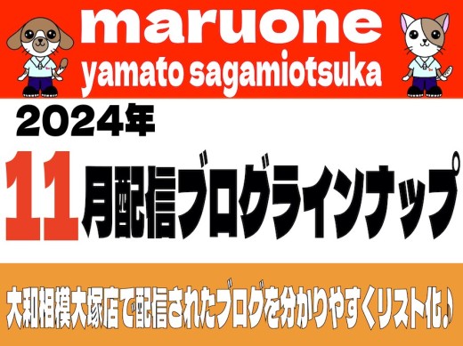 【 ブログリスト 】マルワン大和相模大塚店の2024年11月配信ブログラインナップ