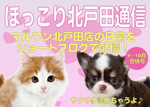 【 ほっこり北戸田通信集 9.10月号 】日々の日常をマルっとまとめました！