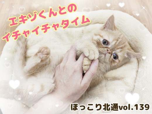 【 ほっこり北通vol.139 】エキゾチックくんと幸せすぎるイチャイチャタイム