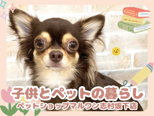 【子どもとペットの暮らし】わんちゃん猫ちゃんが子どもに教えてくれること