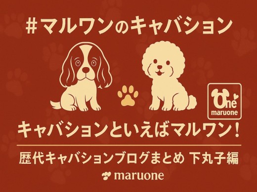 【 まとめ 】キャバションといえばマルワン！下丸子店歴代キャバションの記事紹介