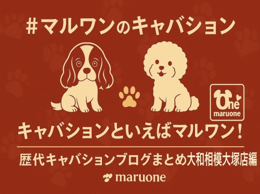 【 まとめ 】キャバションといえばマルワン！相模大塚店歴代キャバションの記事紹介