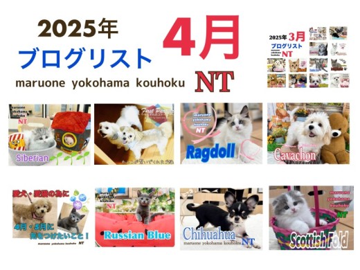 【 ブログリスト 】マルワン横浜 港北NT店4月のブログ記事まとめ