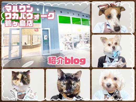 【 ワカバウォーク鶴ヶ島店 】アクセス良好！つい通っちゃうショップ&スタッフ紹介