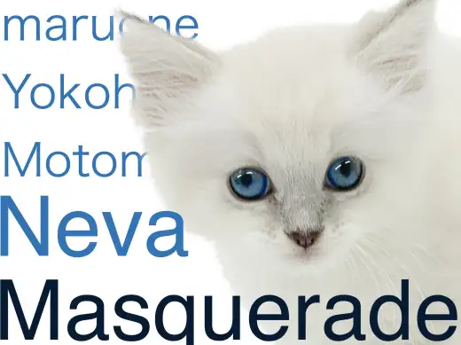 【 ネヴァマスカレード 】ブルーアイの貴公子が横浜元町に登場！