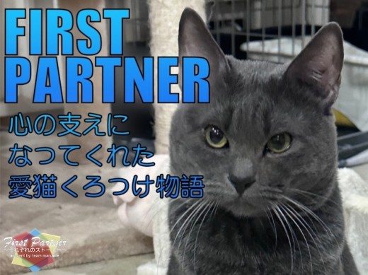 【 ファーストパートナー 】マルワン横浜大倉山店スタッフゆうこの愛猫物語！