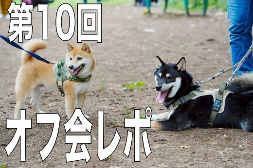 【 オフ会 】総勢23頭が集結した第10回オフ会レポート！