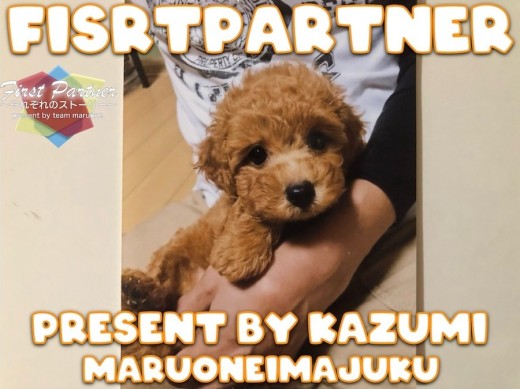 【 ファーストパートナー 】マルワン横浜今宿店スタッフ伊藤の愛犬物語！