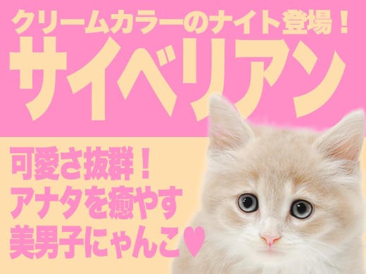 【 サイベリアン 】ひとり暮らしの女性におすすめしたいクリームカラーの素敵なナイト！