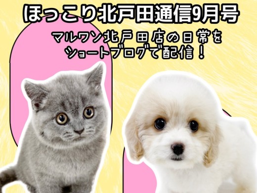 【 ほっこり北戸田通信集 9月号 】日々の日常をマルっとまとめました！