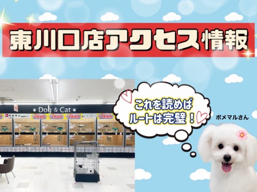 【 店舗紹介 】マルワン東川口店へのアクセスをわかりやすくご紹介します！