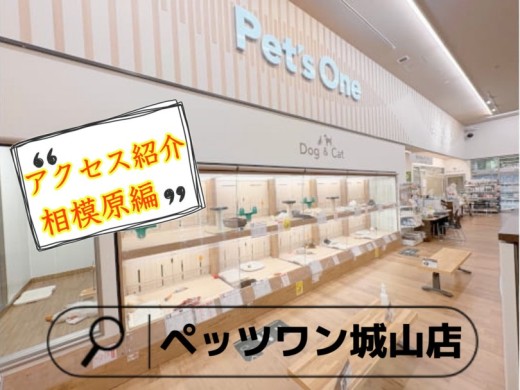 【 ペッツワン城山店 】アクセス紹介！相模原編