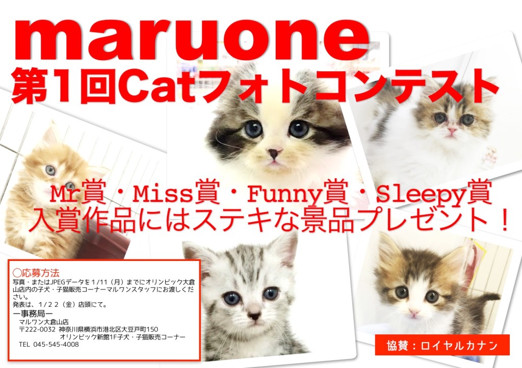 フォトコンpages