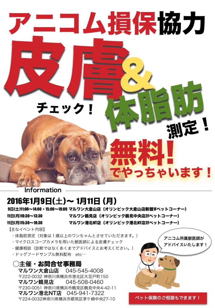 体脂肪測定皮膚チェック
