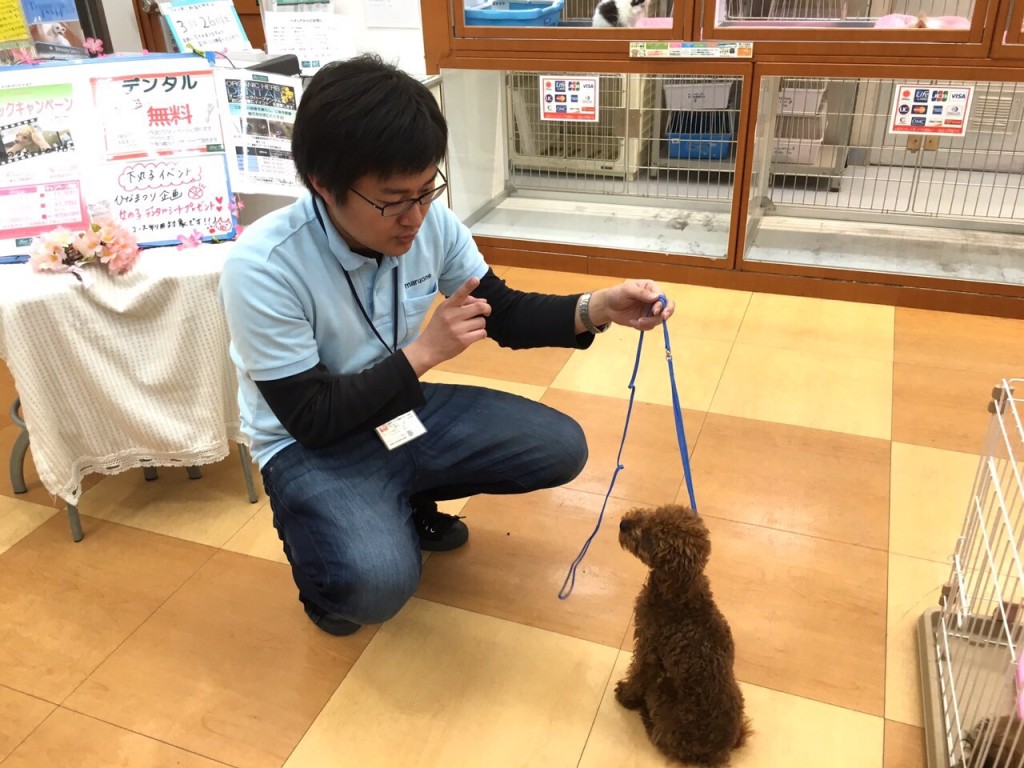 茂木さん.jpg