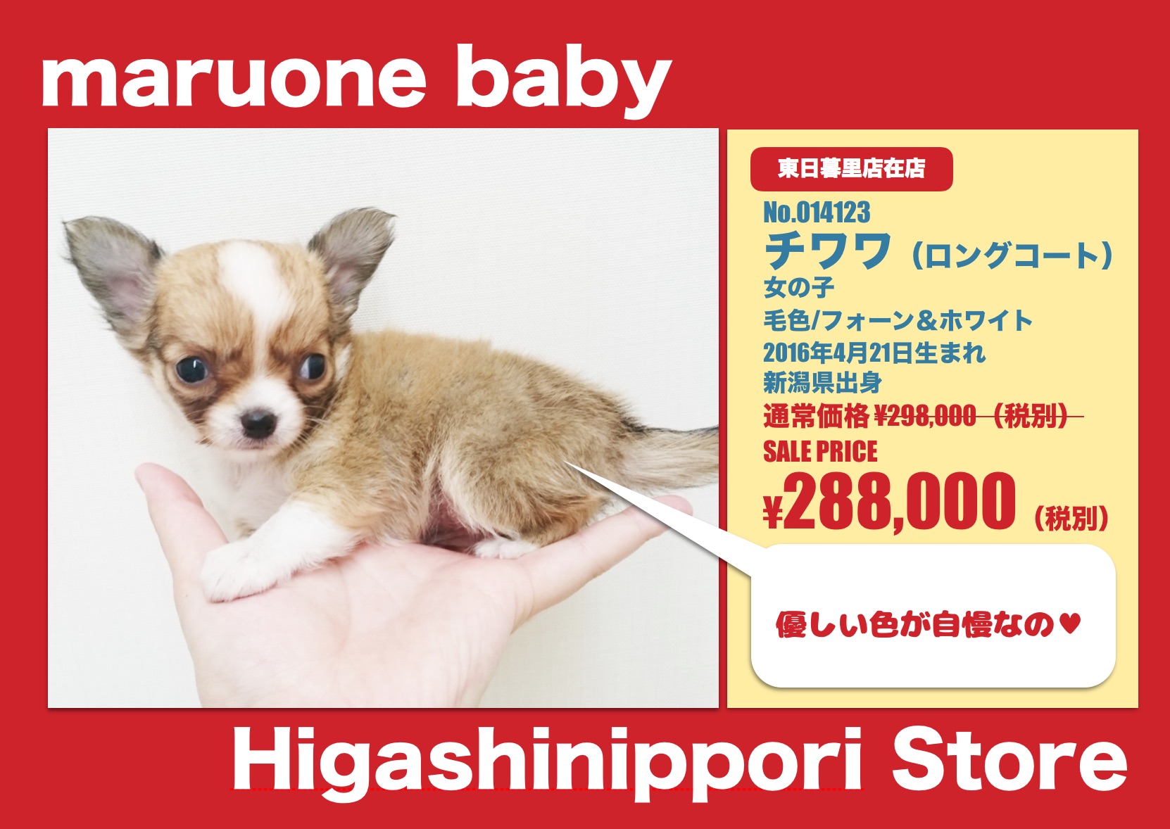 イチオシ原稿pages