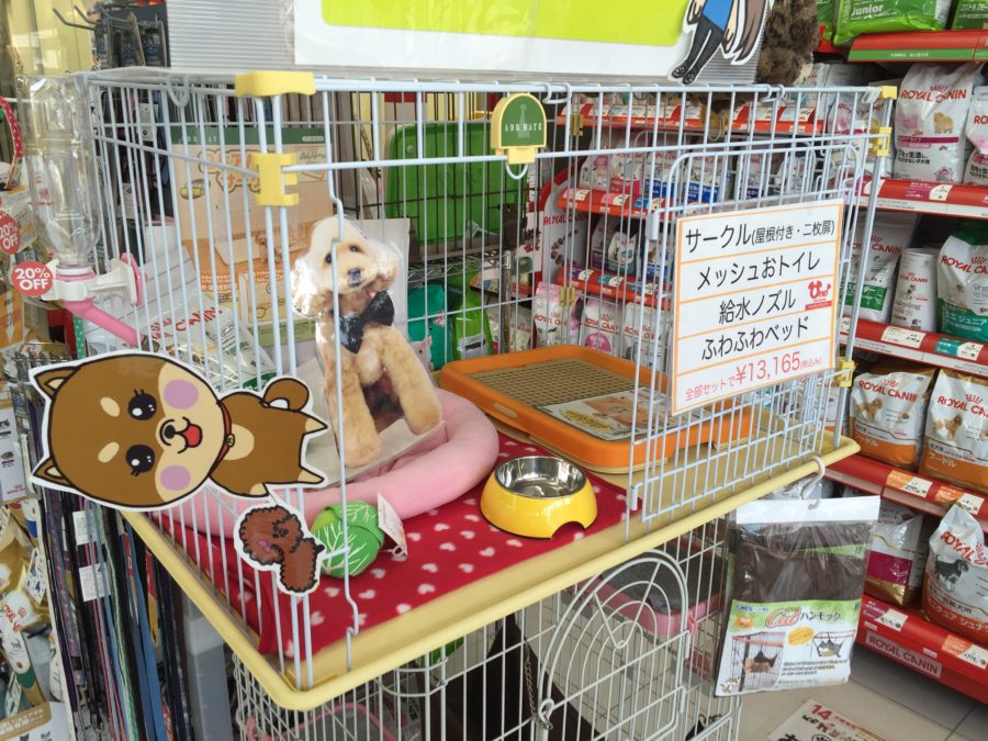 サークルは安心できるワンちゃんのテリトリー | トイ・プードル - マルワン大倉山店