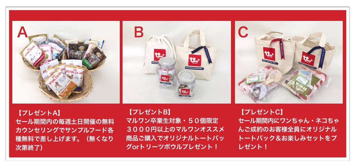 名称未設定_2