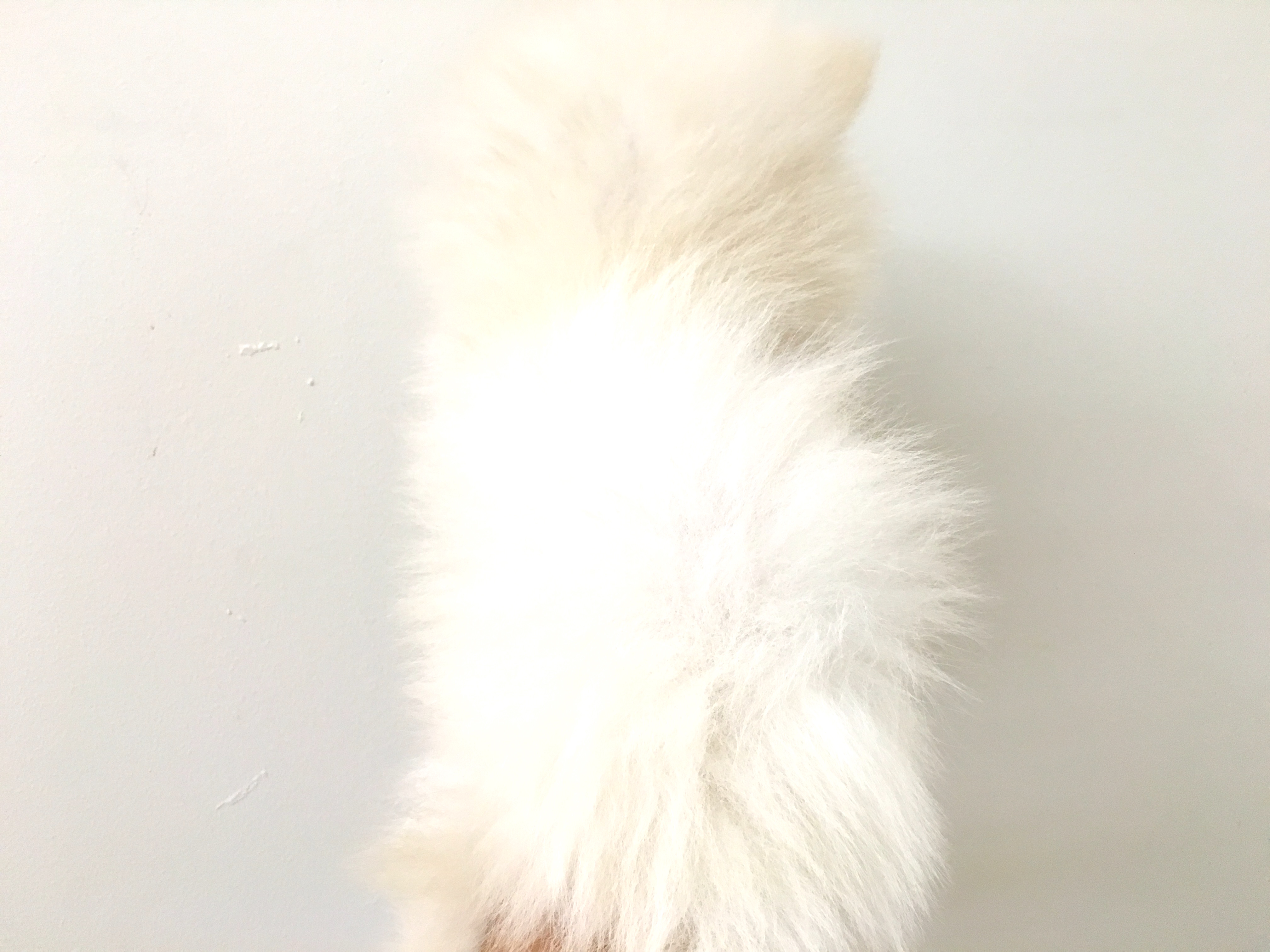 ３３２２