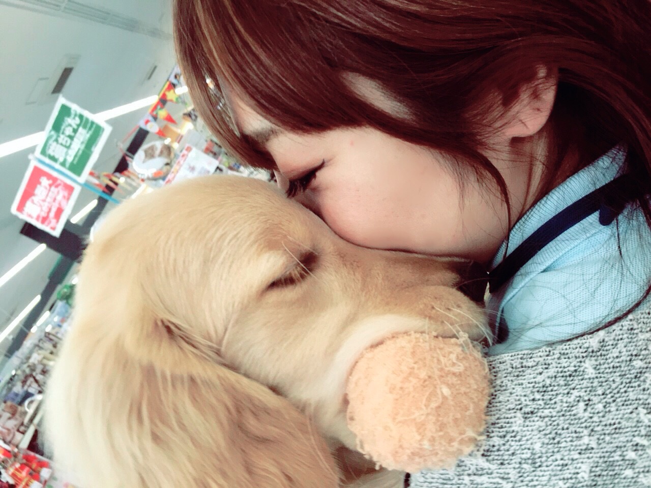 犬の記憶力ってどのくらいかご存知ですか？ - マルワンBLOG