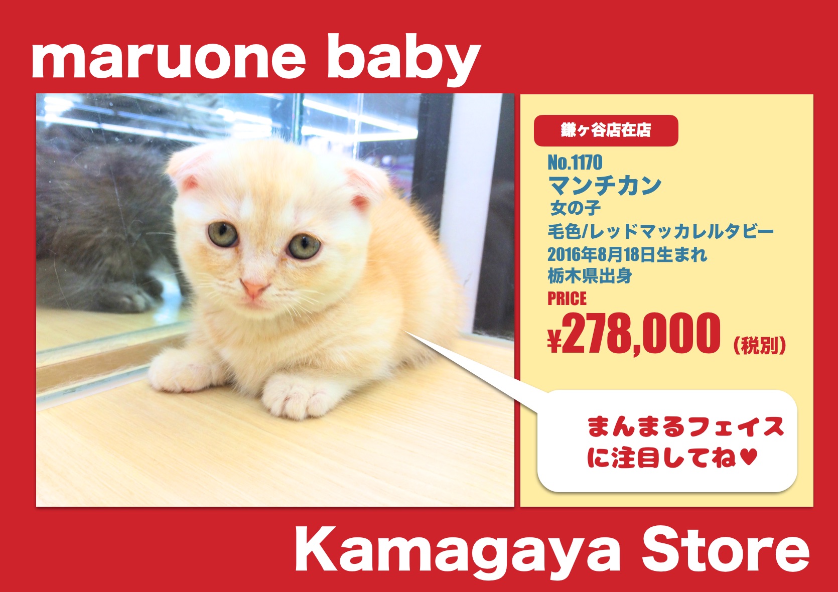 %e3%82%a4%e3%83%81%e3%82%aa%e3%82%b7%e5%8e%9f%e7%a8%bfpages