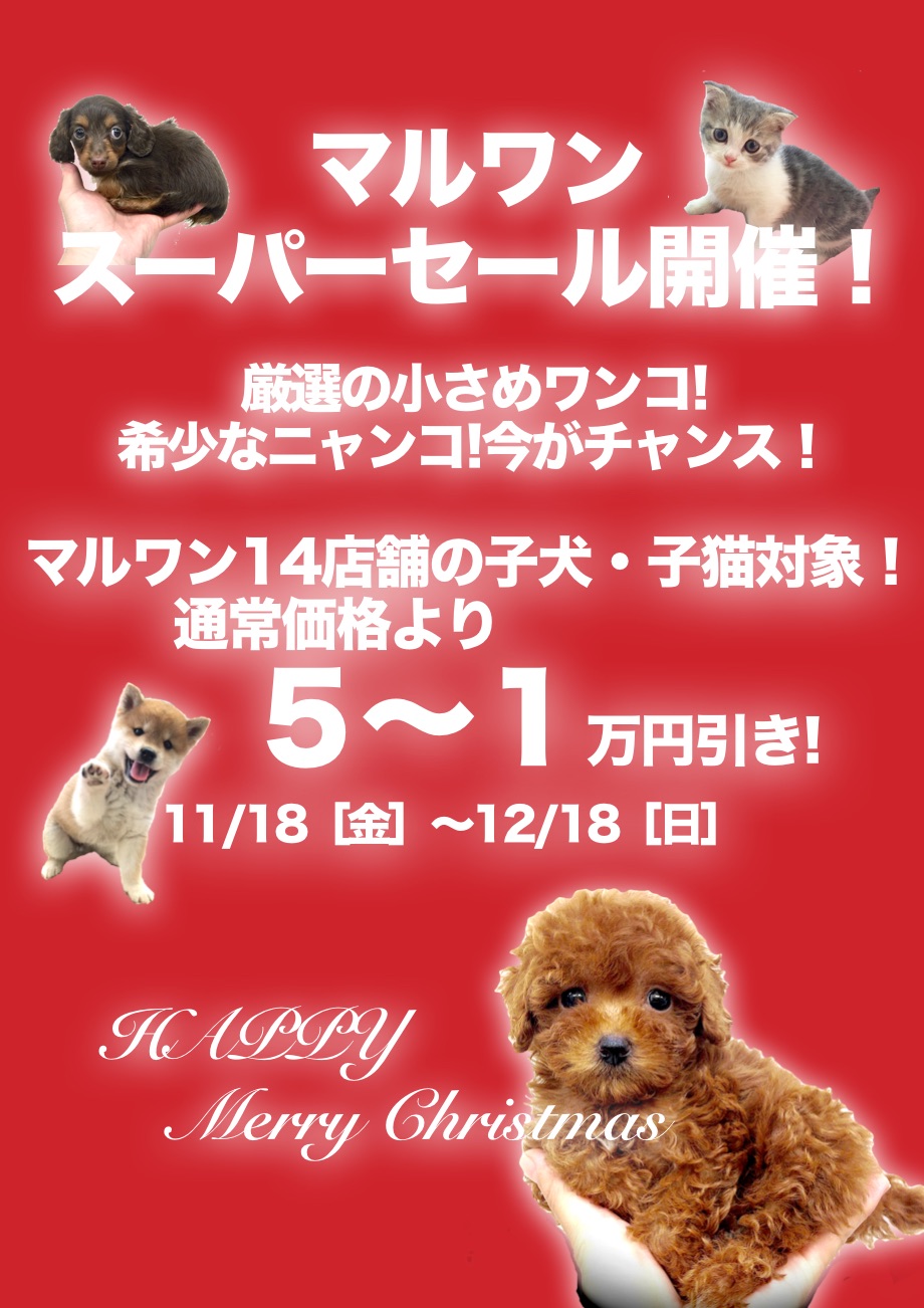 マルワン全店スーパーセール