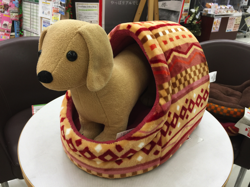 ドーム型ベッド - ワンちゃんネコちゃんの寒さ対策!