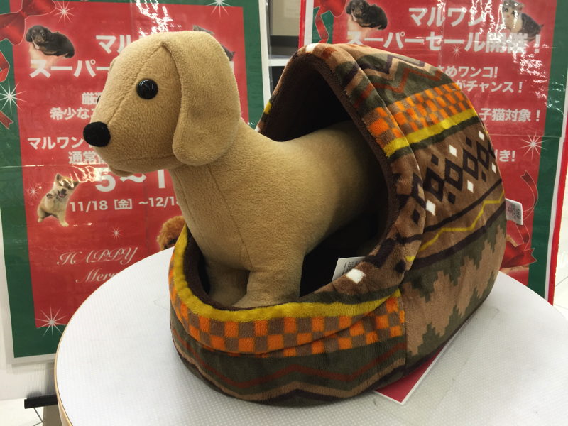 ドーム型ベッド - ワンちゃんネコちゃんの寒さ対策!