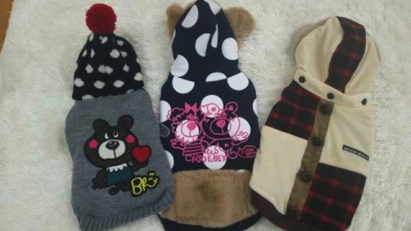 外出時の洋服(BICEHOLIC) - ワンちゃんネコちゃんの寒さ対策!