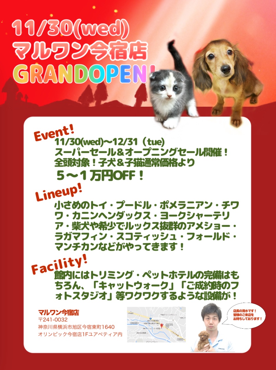 マルワン今宿店オープンニングセール開催