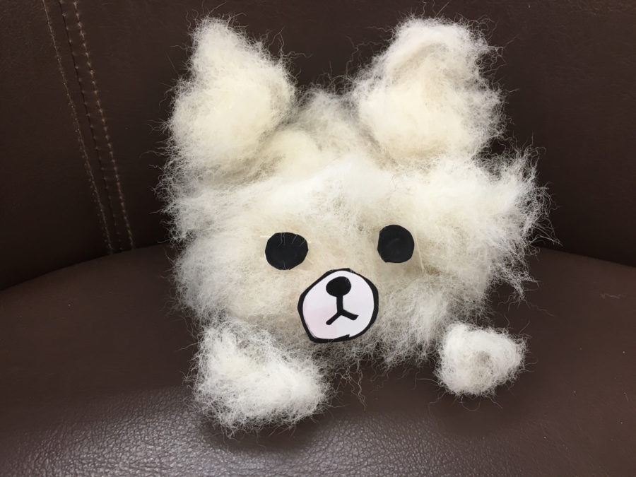 柴ちゃんの抜け毛は凄い | ペットショップスタッフがレビュー！：大倉山店の柴犬マニアが柴犬の魅力を紹介！