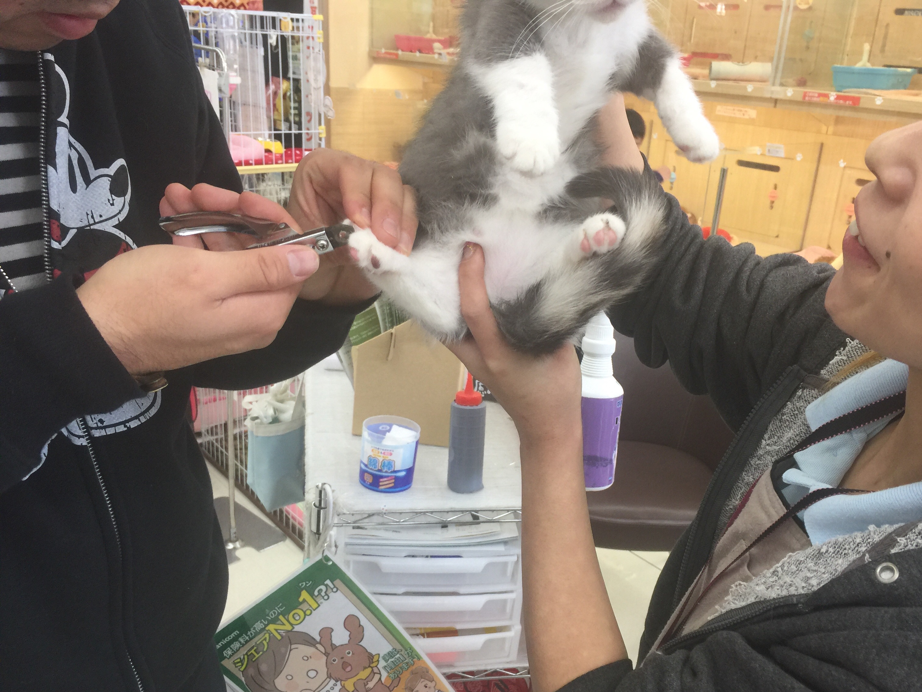 パパにバトンチェンジ