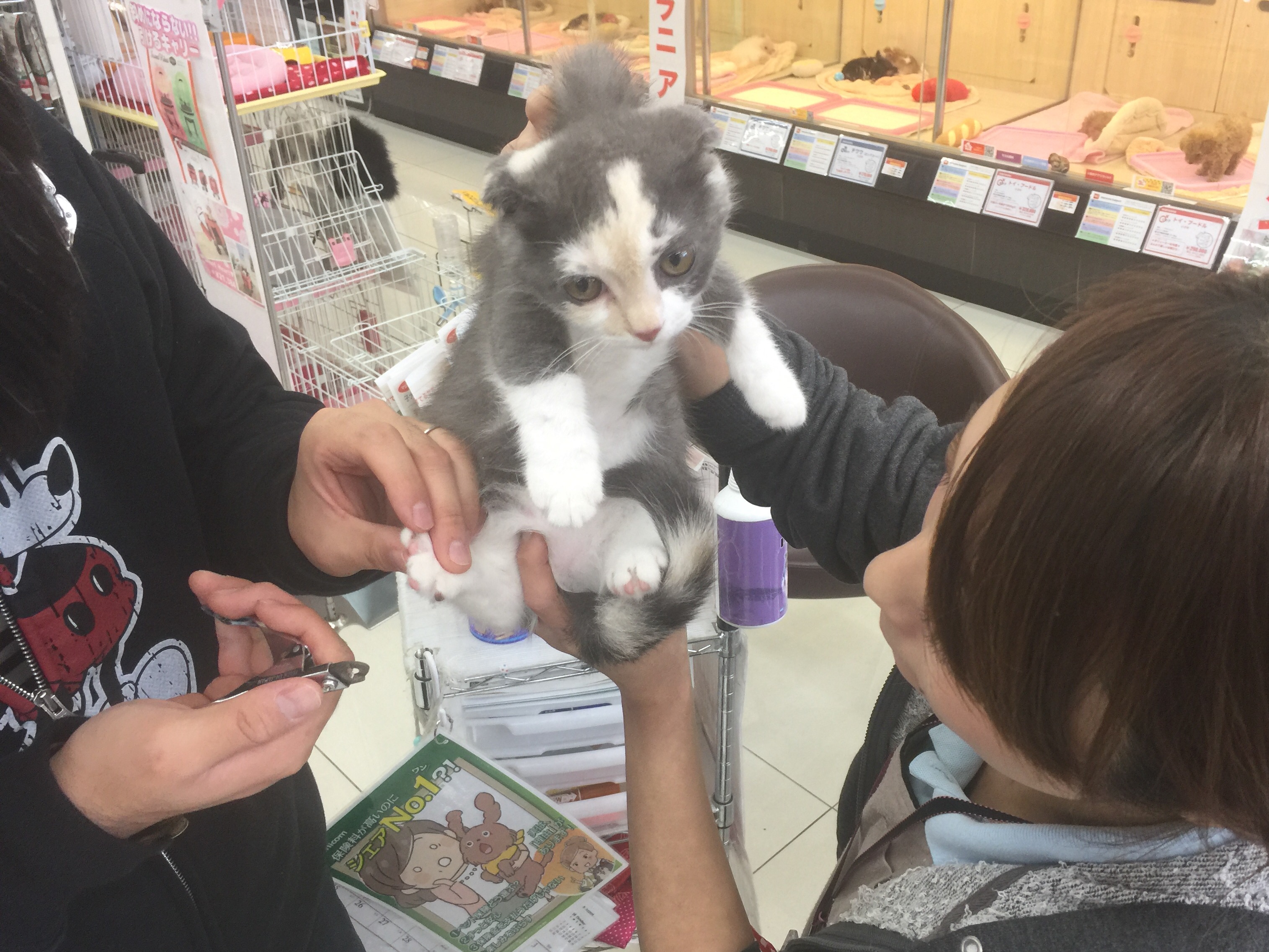 >早速レクチャー開始