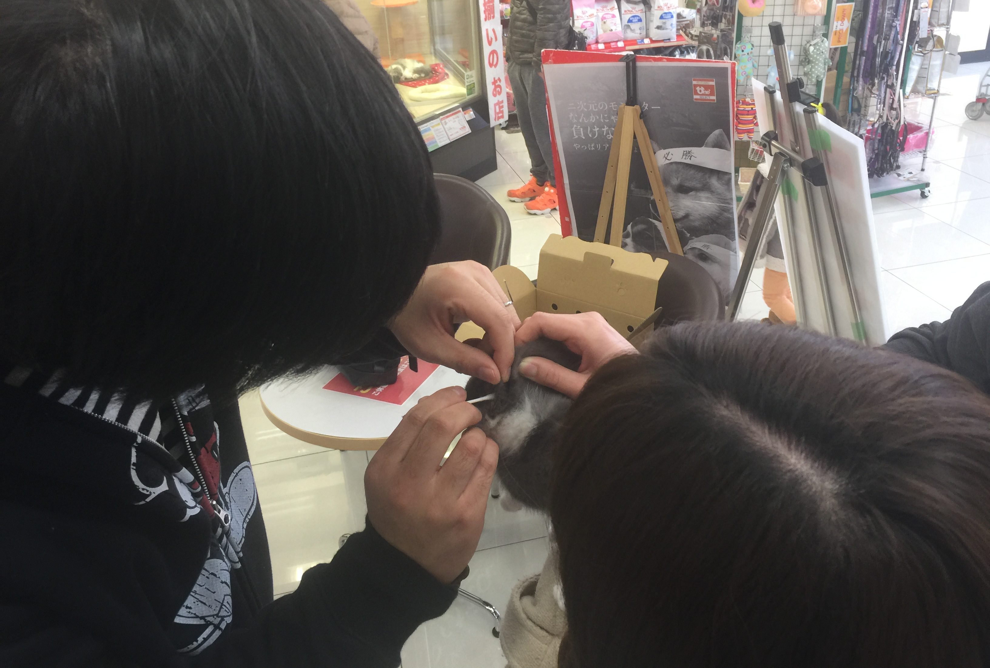 お耳掃除にチャレンジ