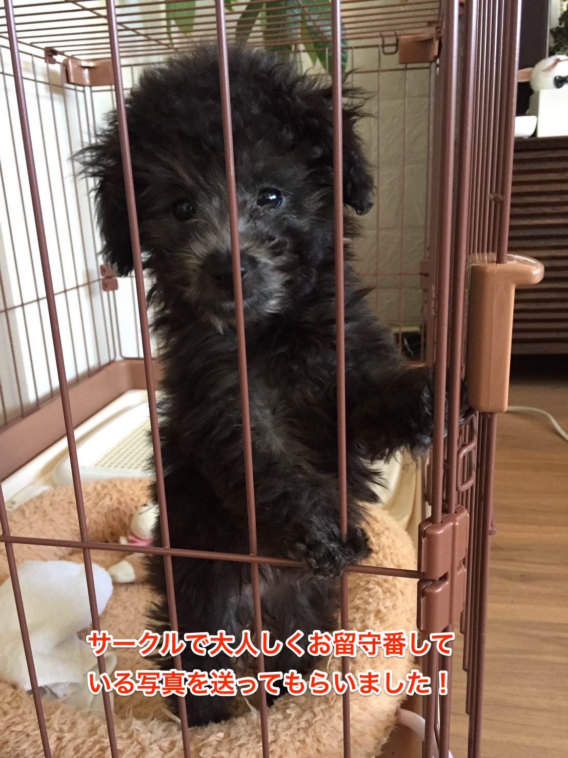 送っていただいた写真②