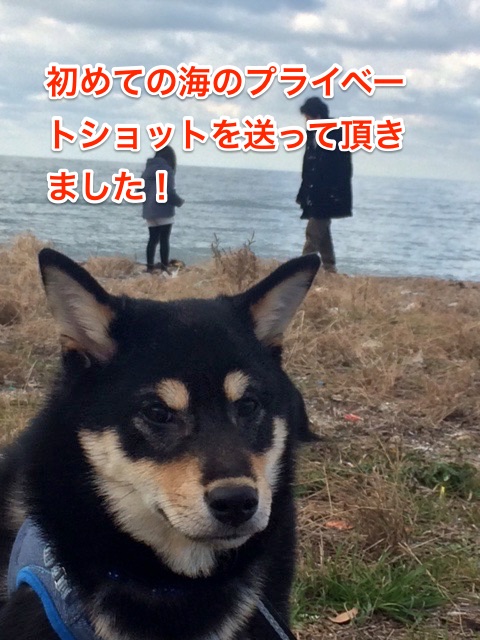 送っていただいた写真③