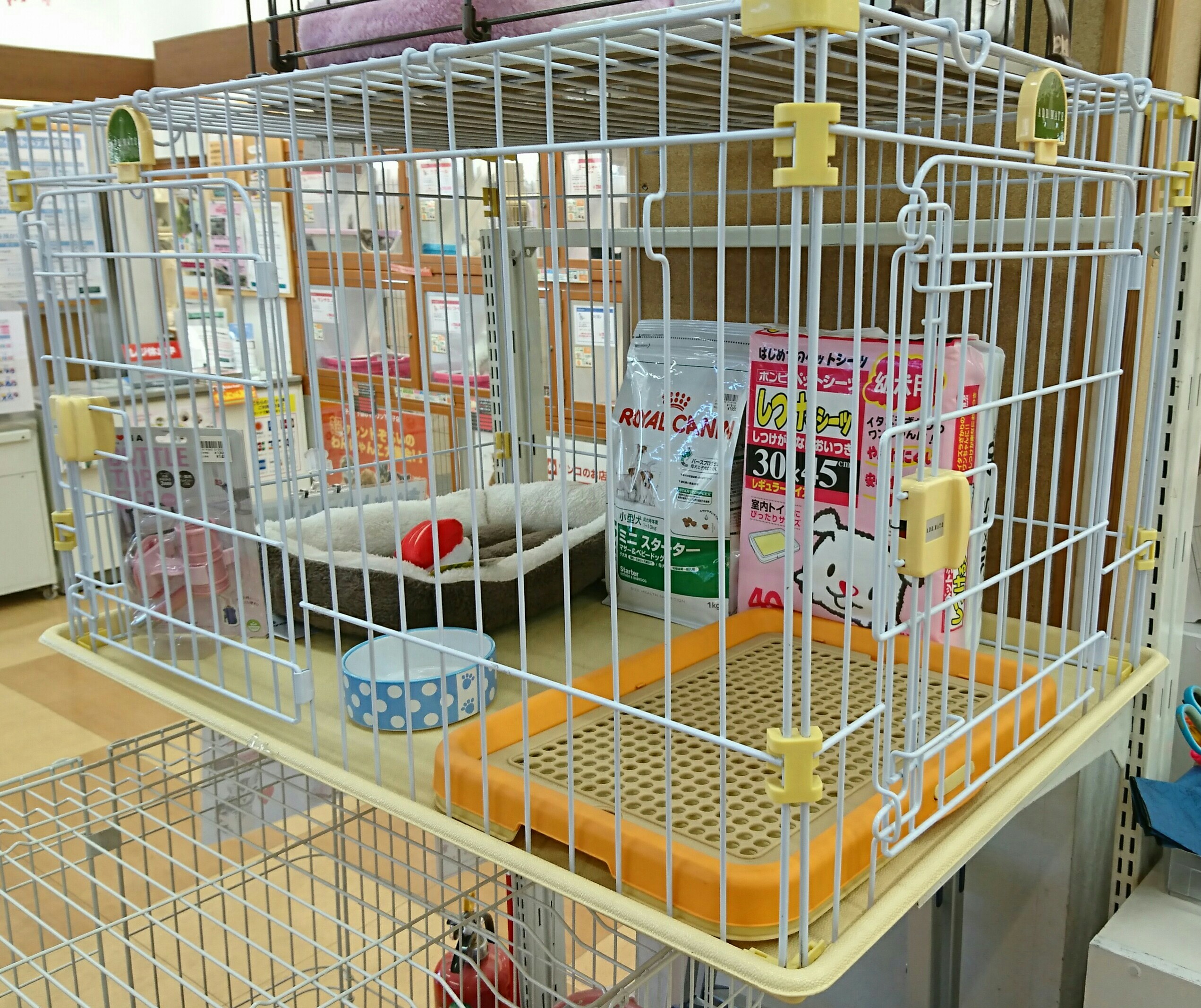おすすめ飼育環境 柴犬 - マルワン下丸子店