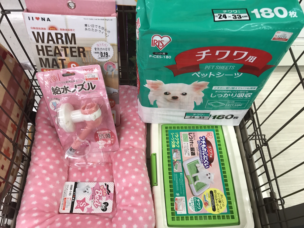 この子のオススメサークル・グッズは？ - ティーカッププードル - マルワン本羽田店