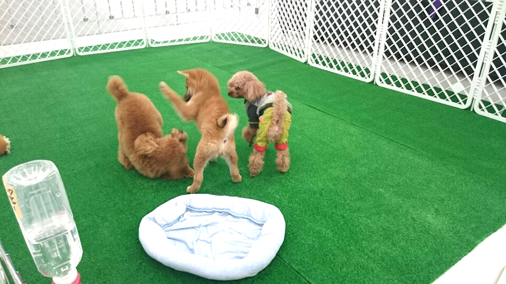 プレイルームのご利用にあたって