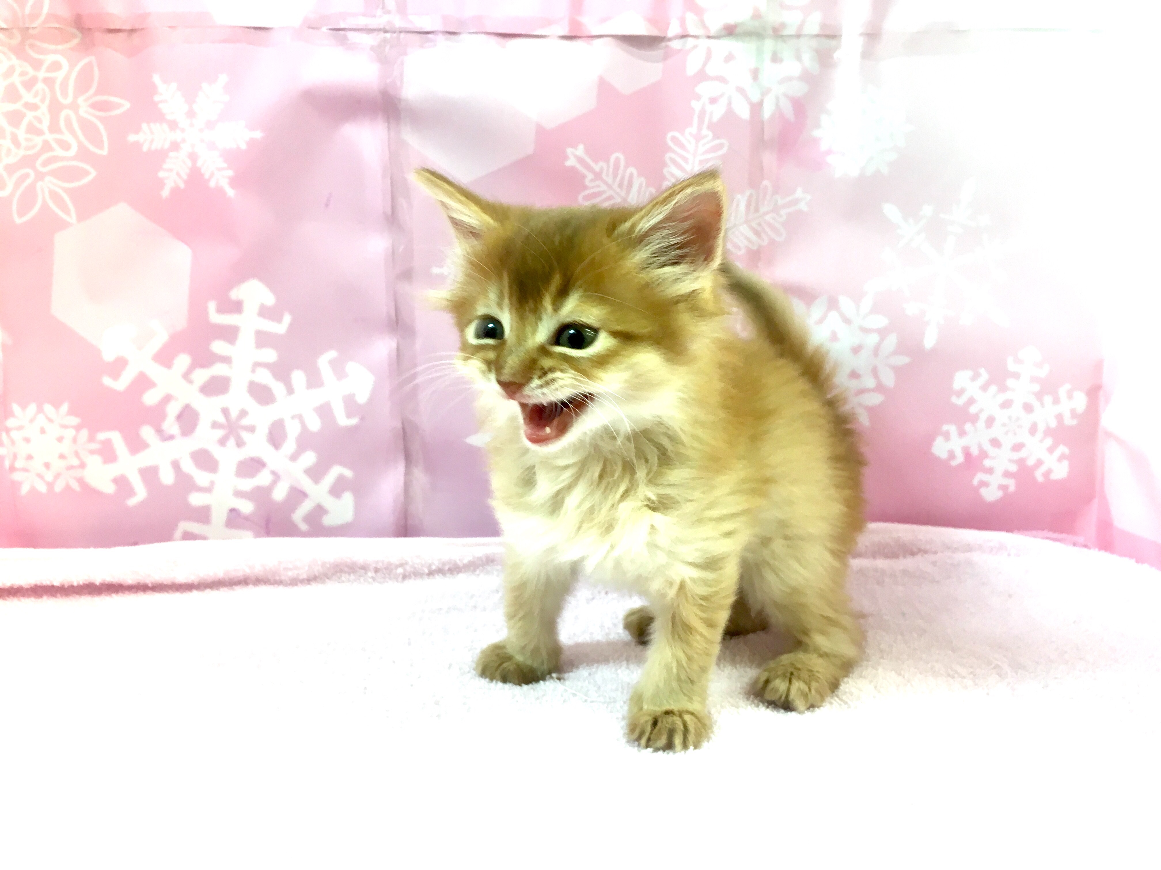 かゆいところに手が届く大倉山店の独自サポート - マルワン大倉山店