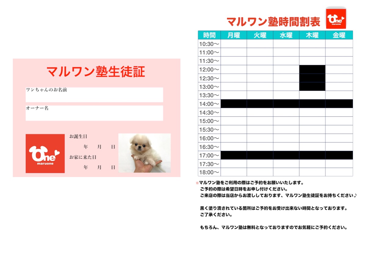 マルワン塾生徒証やマルワン塾時間割表 - マルワン相模大塚店