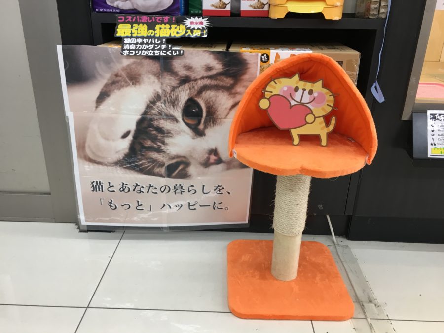 マンチカンには少し低めのキャットタワーがおすすめ
