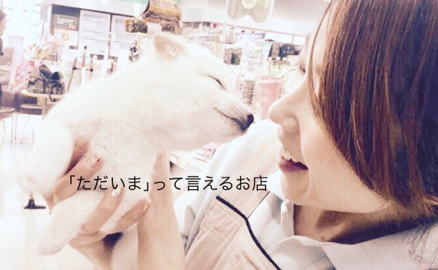 「ただいま」って言ってもらえる我が家の様なペットショップを目指して - マルワン大倉山店