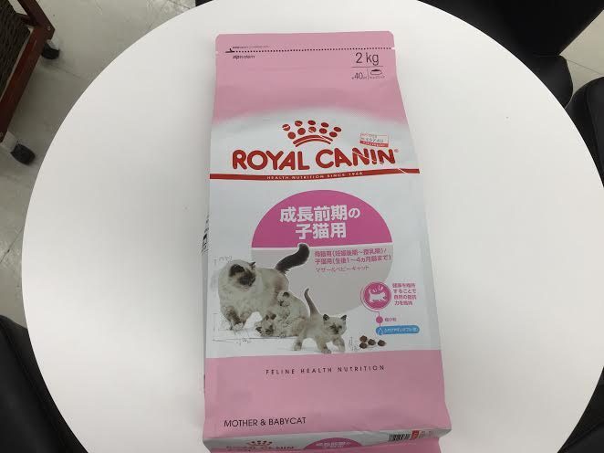 ロイヤルカナンのマザー&ベビーキャット エキゾチックショートヘア - マルワン港北NT店