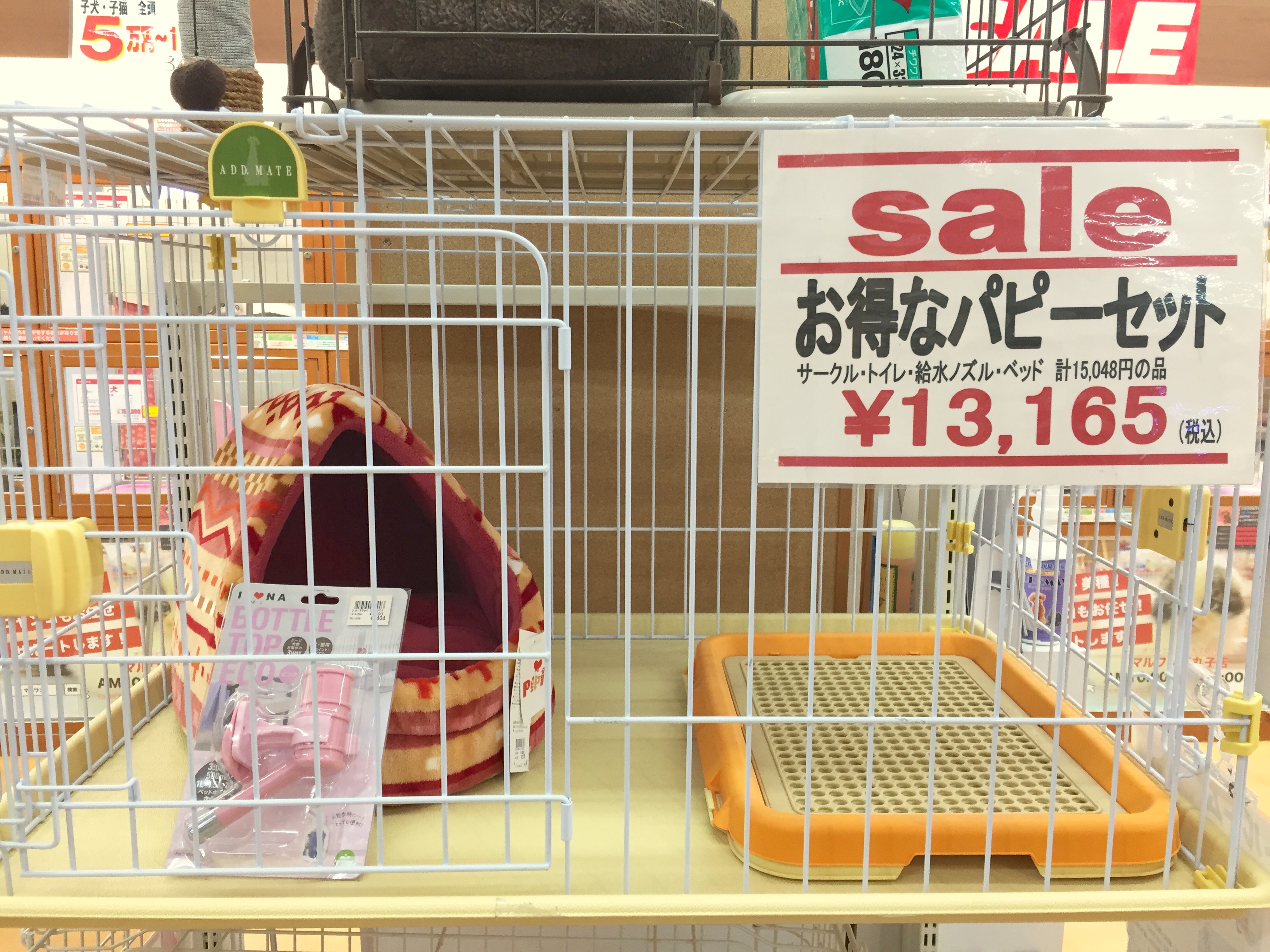 おすすめ飼育セット トイ・プードル - マルワン下丸子店